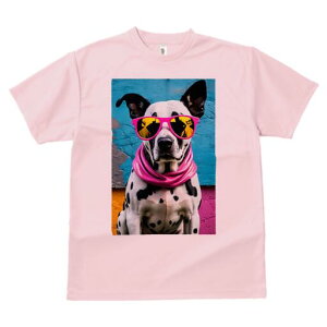 _VA TVc  j[NfUCfB[X t@  t vg lJWA 킢 lԗp Mtg I ҏ΍ TOX _VA XJ[t