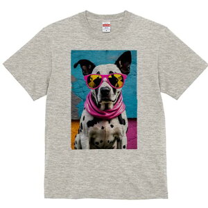 _VA TVc  j[NfUCfB[X t@  t vg lJWA 킢 lԗp Mtg I ҏ΍ TOX _VA XJ[t