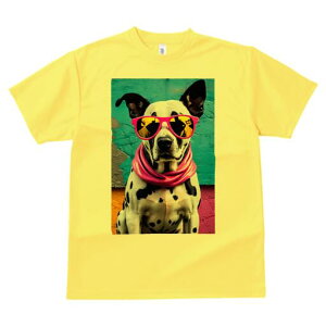 �_�����V�A�� T�V���c ���� ���j�[�N�f�U�C�����f�B�[�X ���t�@�� ���� �t�� �v�����g ��l�J�W���A�� ���킢�� �l�ԗp �M�t�g ���I �ҏ��΍� �T���O���X �_�����V�A�� �X�J�[�t