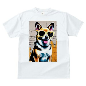 �R�[�M�[ T�V���c ���� ���j�[�N�f�U�C�����f�B�[�X ���t�@�� ���� �t�� �v�����g ��l�J�W���A�� ���킢�� �l�ԗp �M�t�g ���I �ҏ��΍� �T���O���X �R�[�M�[ �����K