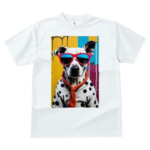 _VA TVc  j[NfUCfB[X t@  t vg lJWA 킢 lԗp Mtg I ҏ΍ TOX _VA lN^C |bvA