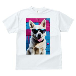 Hc TVc  j[NfUCfB[X t@  t vg lJWA 킢 lԗp Mtg I ҏ΍ TOX Hc K