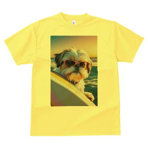 V[Y[ TVc  j[NfUCfB[X t@  t vg lJWA 킢 lԗp Mtg I ҏ΍ TOX V[Y[ T[t{[h C [Ă