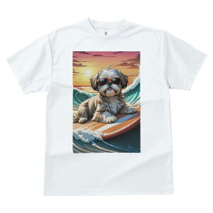 V[Y[ TVc  j[NfUCfB[X t@  t vg lJWA 킢 lԗp Mtg I ҏ΍ TOX V[Y[ T[tB C [Ă