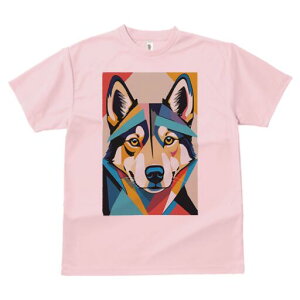 nXL[ TVc  j[NfUCfB[X t@  t vg lJWA 킢 lԗp Mtg I ҏ΍ 􉽊w͗l nXL[ A[g