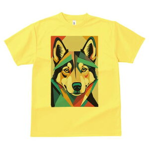 nXL[ TVc  j[NfUCfB[X t@  t vg lJWA 킢 lԗp Mtg I ҏ΍ 􉽊w͗l nXL[ A[g