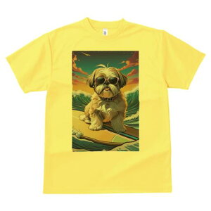 V[Y[ TVc  j[NfUCfB[X t@  t vg lJWA 킢 lԗp Mtg I ҏ΍ TOX V[Y[ g T[t{[h C