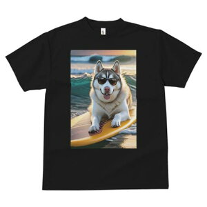 VxAnXL[ TVc  j[NfUCfB[X t@  t vg lJWA 킢 lԗp Mtg I ҏ΍ TOX VxAnXL[ T[