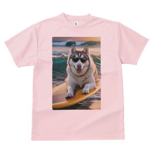 VxAnXL[ TVc  j[NfUCfB[X t@  t vg lJWA 킢 lԗp Mtg I ҏ΍ TOX VxAnXL[ T[