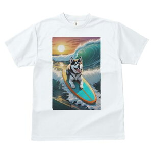 VxAnXL[ TVc  j[NfUCY LbY t@  t vg lJWA 킢 lԗp Mtg I ҏ΍ g VxAnXL[ T[tB 