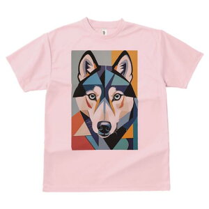 nXL[ TVc  j[NfUCfB[X t@  t vg lJWA 킢 lԗp Mtg I ҏ΍ 􉽊wI nXL[ A[g