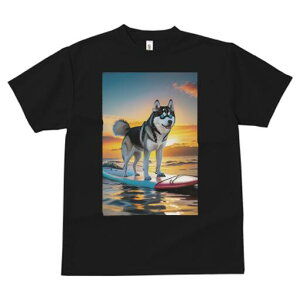 VxAnXL[ TVc  j[NfUCfB[X t@  t vg lJWA 킢 lԗp Mtg I ҏ΍ T[tB VxAnXL[ C [