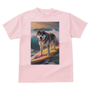 VxAnXL[ TVc  j[NfUCfB[X t@  t vg lJWA 킢 lԗp Mtg I ҏ΍ T[tB VxAnXL[ g C