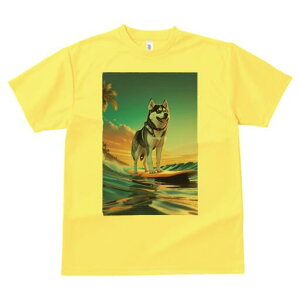 VxAnXL[ TVc  j[NfUCfB[X t@  t vg lJWA 킢 lԗp Mtg I ҏ΍ T[tB VxAnXL[ g C 