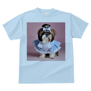 V[Y[ TVc  j[NfUCfB[X t@  t vg lJWA 킢 lԗp Mtg I ҏ΍ { V[Y[ 