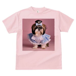 V[Y[ TVc  j[NfUCfB[X t@  t vg lJWA 킢 lԗp Mtg I ҏ΍ { V[Y[ 