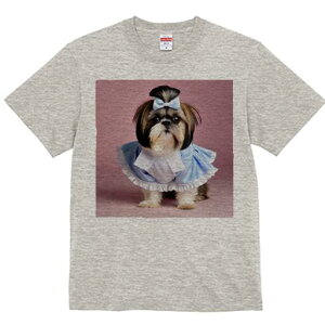 V[Y[ TVc  j[NfUCfB[X t@  t vg lJWA 킢 lԗp Mtg I ҏ΍ { V[Y[ 