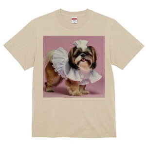 V[Y[ TVc  j[NfUCfB[X t@  t vg lJWA 킢 lԗp Mtg I ҏ΍ Ch V[Y[ Xq