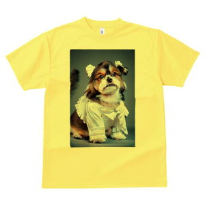 V[Y[ TVc  j[NfUCfB[X t@  t vg lJWA 킢 lԗp Mtg I ҏ΍ { V[Y[ 