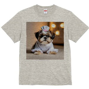 V[Y[ TVc  j[NfUCfB[X t@  t vg lJWA 킢 lԗp Mtg I ҏ΍ Xq V[Y[ ߑ