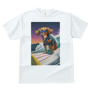 LoA TVc  j[NfUCfB[X t@  t vg lJWA 킢 lԗp Mtg I ҏ΍ TOX LoA T[tB g C