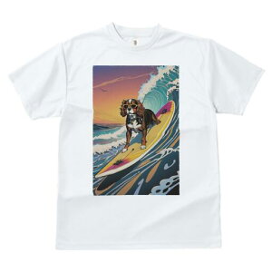 LoA TVc  j[NfUCY LbY t@  t vg lJWA 킢 lԗp Mtg I ҏ΍ T[tB LoA g C TOX