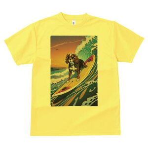 LoA TVc  j[NfUCY LbY t@  t vg lJWA 킢 lԗp Mtg I ҏ΍ T[tB LoA g C TOX