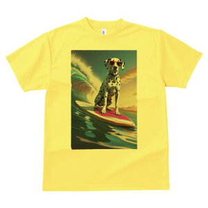 _VA TVc  j[NfUCfB[X t@  t vg lJWA 킢 lԗp Mtg I ҏ΍ T[tB _VA g C TOX