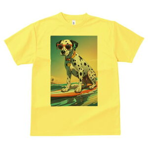 _VA TVc  j[NfUCfB[X t@  t vg lJWA 킢 lԗp Mtg I ҏ΍ TOX _VA T[tB C g