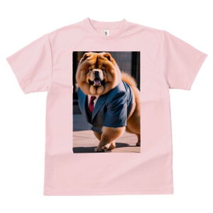 `E`E TVc  j[NfUCfB[X t@  t vg lJWA 킢 lԗp Mtg I ҏ΍ X[c `E`E lN^C