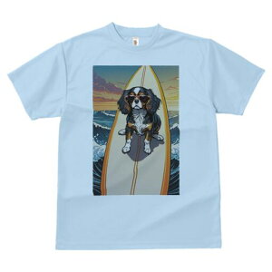 LoA TVc  j[NfUCfB[X t@  t vg lJWA 킢 lԗp Mtg I ҏ΍ T[tB LoA C [Ă TOX