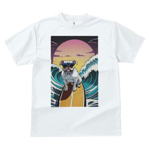 uhbO TVc  j[NfUCfB[X t@  t vg lJWA 킢 lԗp Mtg I ҏ΍ g uhbO T[tB C 