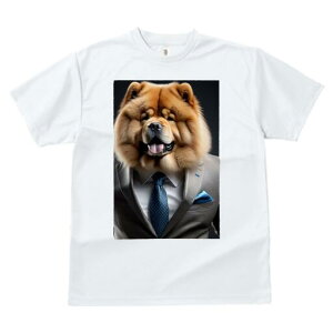 `E`E TVc  j[NfUCfB[X t@  t vg lJWA 킢 lԗp Mtg I ҏ΍ X[c `E`E lN^C |Pbg`[