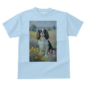 LoA TVc  j[NfUCfB[X t@  t vg lJWA 킢 lԗp Mtg I ҏ΍ Ԕ LoA i G