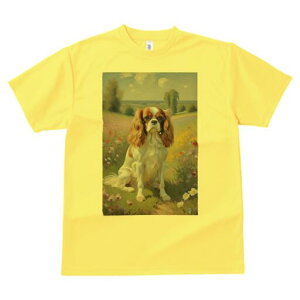 LoA TVc  j[NfUCfB[X t@  t vg lJWA 킢 lԗp Mtg I ҏ΍ Ԕ LoA i G