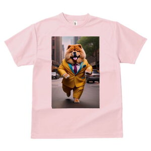 `E`E TVc  j[NfUCfB[X t@  t vg lJWA 킢 lԗp Mtg I ҏ΍ X[c `E`E lN^C X