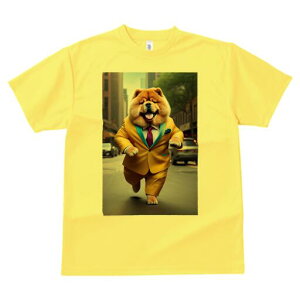 `E`E TVc  j[NfUCfB[X t@  t vg lJWA 킢 lԗp Mtg I ҏ΍ X[c `E`E lN^C X