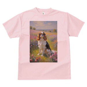 LoA TVc  j[NfUCY LbY t@  t vg lJWA 킢 lԗp Mtg I ҏ΍ Ԕ LoA i G