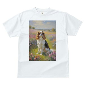 LoA TVc  j[NfUCfB[X t@  t vg lJWA 킢 lԗp Mtg I ҏ΍ Ԕ LoA i G