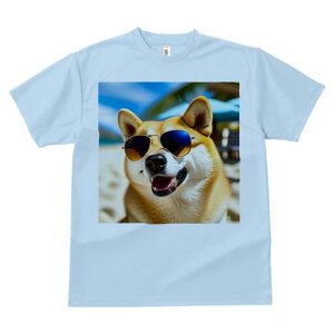 Č TVc  j[NfUCfB[X t@  t vg lJWA 킢 lԗp Mtg I ҏ΍ TOX Č r[` C V̖