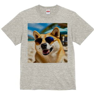 Č TVc  j[NfUCfB[X t@  t vg lJWA 킢 lԗp Mtg I ҏ΍ TOX Č r[` C V̖