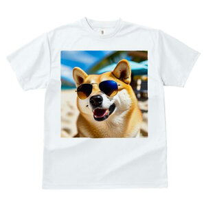 Č TVc  j[NfUCfB[X t@  t vg lJWA 킢 lԗp Mtg I ҏ΍ TOX Č r[` C V̖