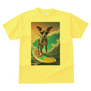 C^AO[nEh TVc  j[NfUCfB[X t@  t vg lJWA 킢 lԗp Mtg I ҏ΍ T[tB C^AO[n