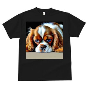 LoA TVc  j[NfUCfB[X t@  t vg lJWA 킢 lԗp Mtg I ҏ΍ LoA