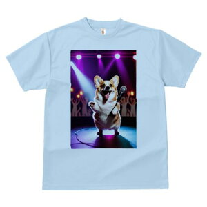 R[M[ TVc  j[NfUCfB[X t@  t vg lJWA 킢 lԗp Mtg I ҏ΍ Xe[W R[M[ Cg }CN Cu