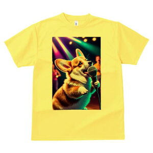 R[M[ TVc  j[NfUCfB[X t@  t vg lJWA 킢 lԗp Mtg I ҏ΍ Xe[W R[M[ Cg }CN Cu