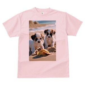 WbNbZeA TVc  j[NfUCfB[X t@  t vg lJWA 킢 lԗp Mtg I ҏ΍ r[` WbNbZeA 