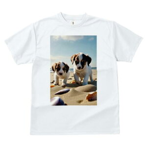 WbNbZeA TVc  j[NfUCfB[X t@  t vg lJWA 킢 lԗp Mtg I ҏ΍ r[` WbNbZeA 