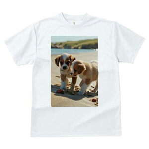 LoA TVc  j[NfUCfB[X t@  t vg lJWA 킢 lԗp Mtg I ҏ΍ r[` LoA C l C