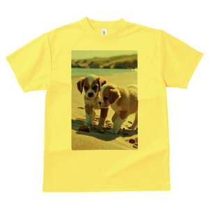 LoA TVc  j[NfUCfB[X t@  t vg lJWA 킢 lԗp Mtg I ҏ΍ r[` LoA C l C